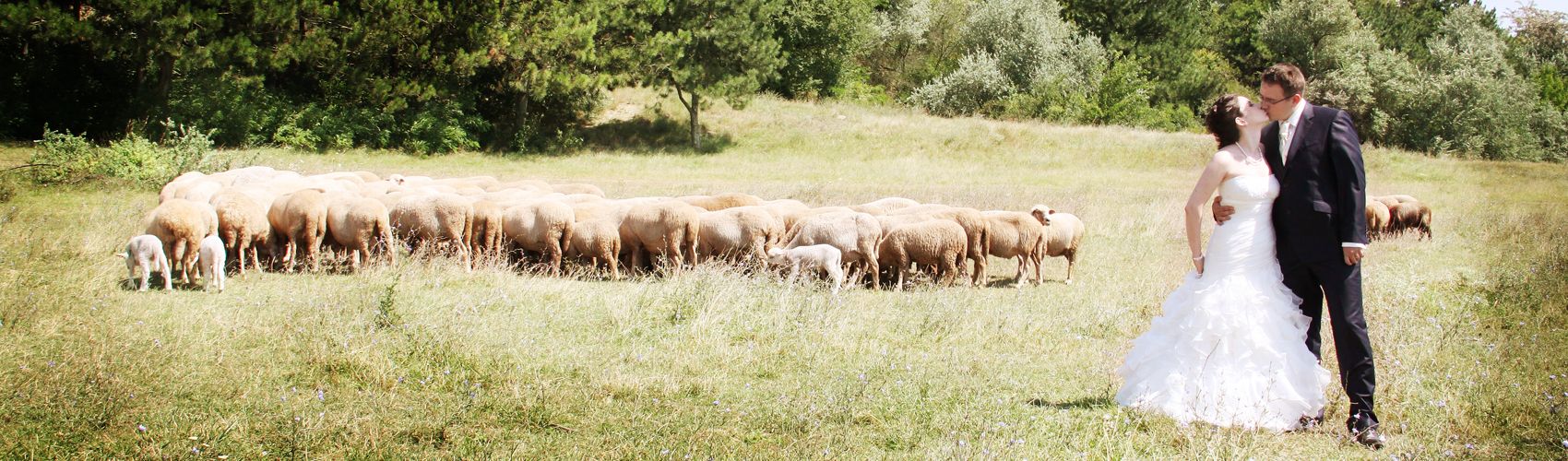baner trash the dress lasting events 05 - Preturi Filmari Full HD "Trash the Dress"